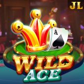 Wild Ace on Felbet